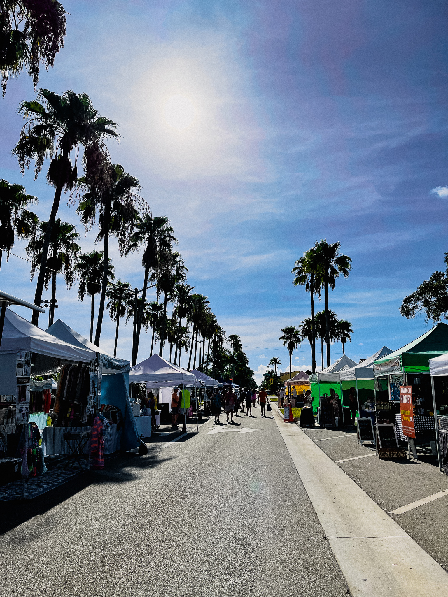 5 Can’tMiss Activities to Do on Venice Island This 2022 Holiday Season